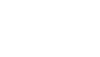 dandelionbranco